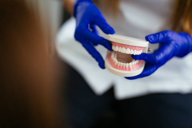 Why Choose Us for Your Dental Needs in Freeport, NY